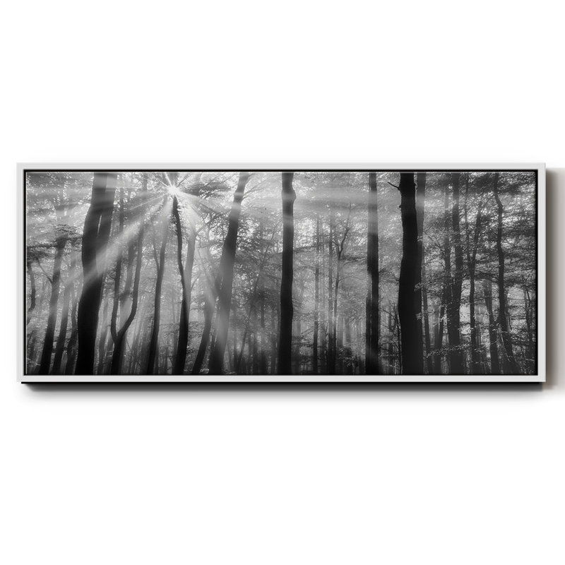 Breaking Through- Framed Canvas