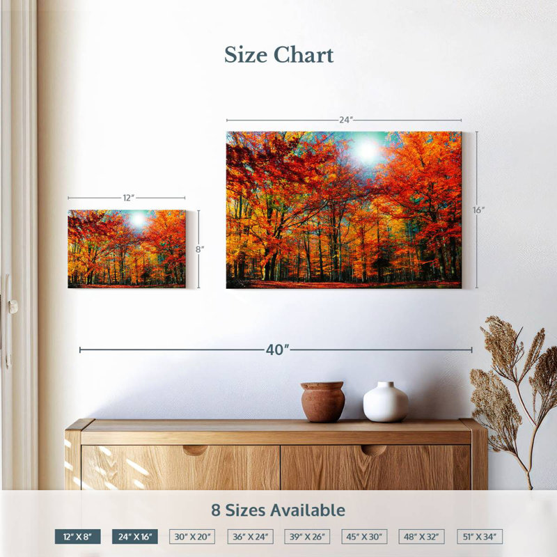 Alvord Autumn Season Beech Trees, 16" H x 24" W