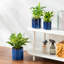 ZTHPOT Ceramic Pot Planter-865196236