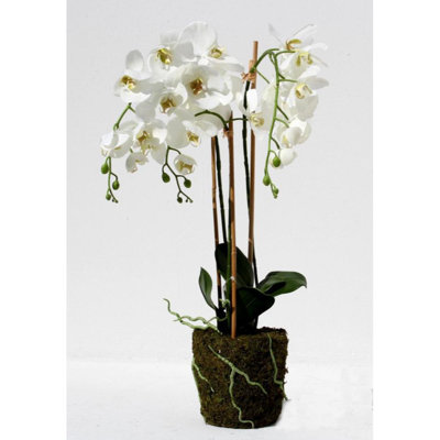 Orchid Artificial in Pot