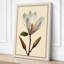 Magnolia Study Botanical - Wrapped Canvas-969606779-969606723