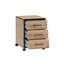 Gregson 40cm Wide 3 -Drawer Mobile File Cabinet-150297528