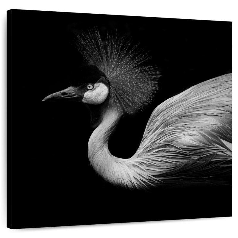 Brampt Black And White Crane