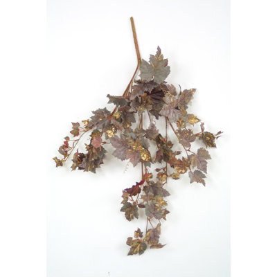 Branche de vigne givrée