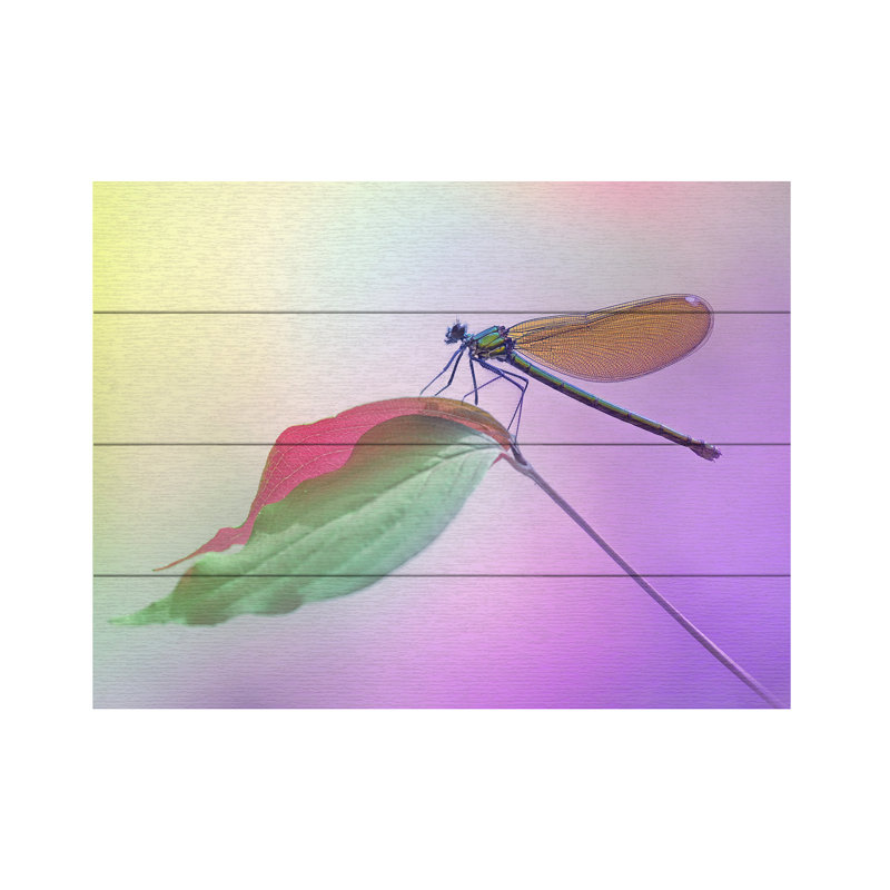 Fabrizio Daminelli  Calopteryx Splendens Wood Slat Art, H 12 po x l 16 po
