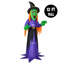 Gonflable Creepy Witch