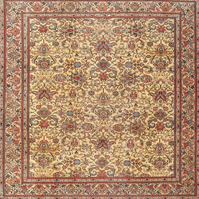 Oriental Indoor Rug