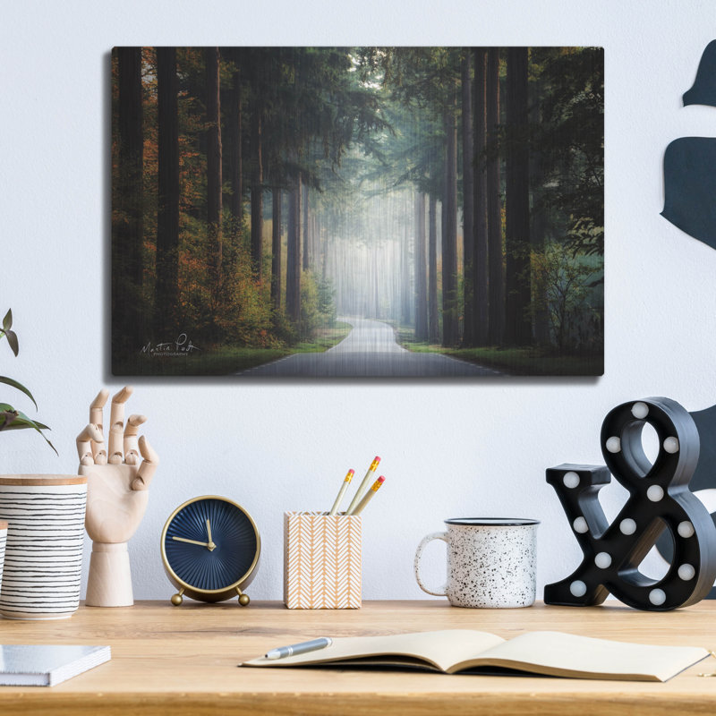 «Mysterious Roads» par Martin Podt, H 12 po x l 16 po