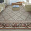 Hand Knotted Area Rug in Ivory