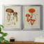 «Mushroom Variétés III», reproduction encadrée de qualité supérieure - prête à être accrochée-567056240-567056246