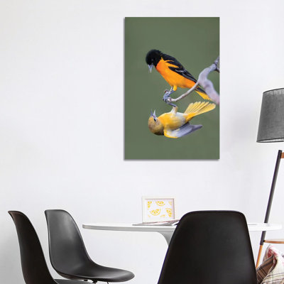 Baltimore Orioles by Larry Ditto - Wrapped Canvas Print