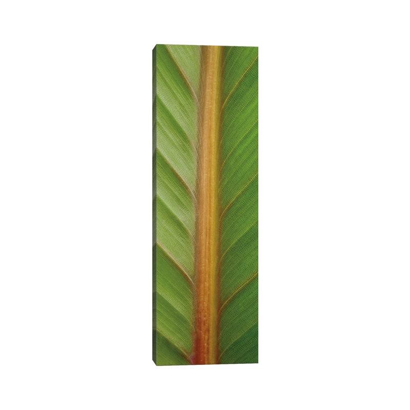 Verdant Trio II by Boyce Watt - Wrapped Canvas Panoramic Print, 30.48 cm H x 91.44 cm W x 3.175 cm D