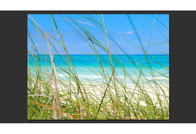 Tropical Journey 2.7m x 450cm Wallpaper, 200 cm x 154 cm