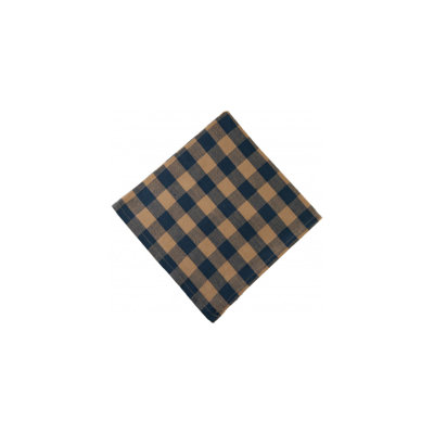 Izzie Cotton Gingham Square Napkin