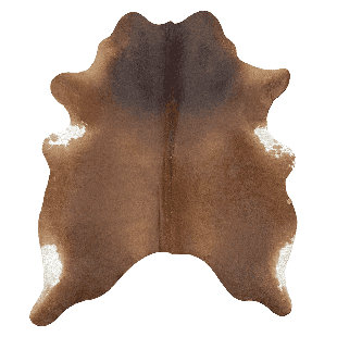 Tapis brun zone