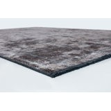 Rapture Abstract Area Rug in Brown/Gray