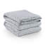 Amelia Blue Quilt-1887996983