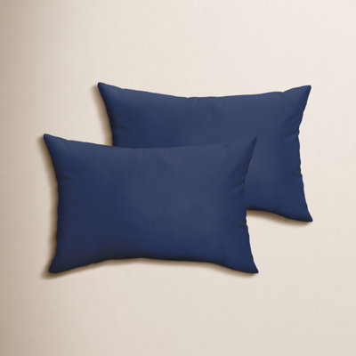 Almeda Lumbar Throw Pillow