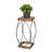 Plant Stand