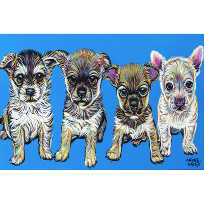 " Chihuahua Pups "