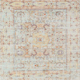 Oriental Indoor Rug