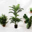 105cm Faux Palm Tree in Pot