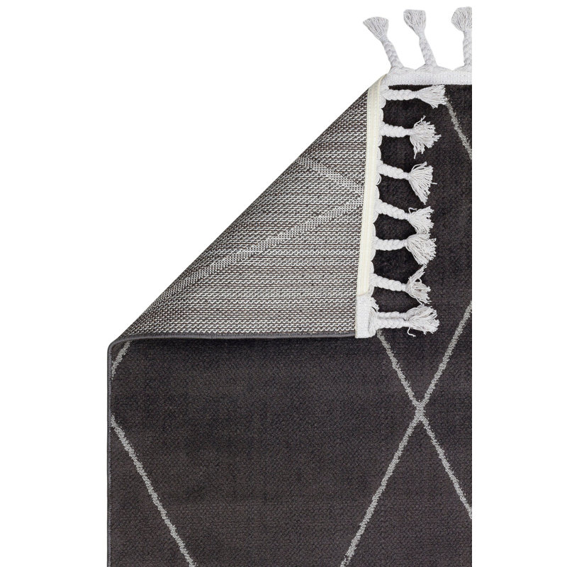 Adai Geometric and Geometric Shapes Indoor / Outdoor Area Rug, Rectangle 2'8" x 4'11"