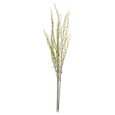 Jet de prunus mountain