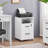 Elisbeth 16'' Wide 2 -Drawer Mobile File Cabinet-1270359372