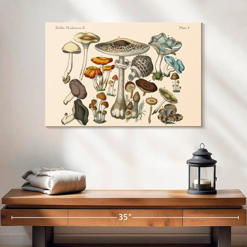 Champignons comestibles Yarlin, H 26 po x l 39 po