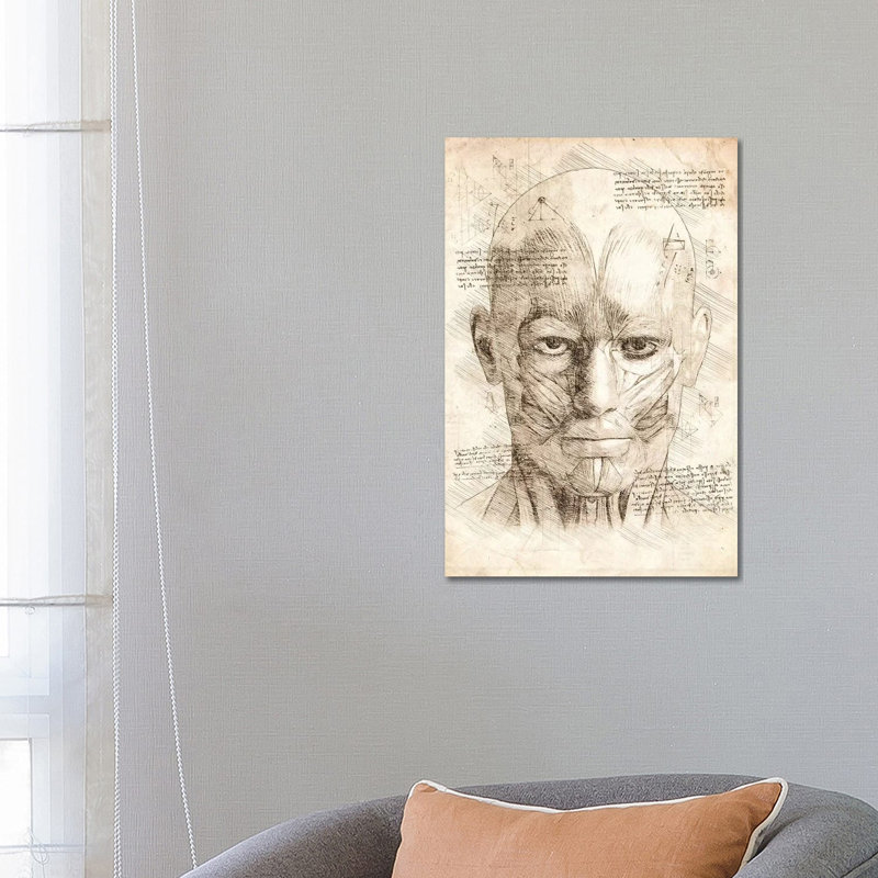 Human Head Face Muscles by Cornel Vlad - Wrapped Canvas Print, 66.04 cm H x 45.72 cm W x 3.175 cm D