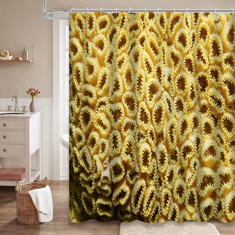 Rideau de douche Underwater Marine Life, L 72 po x l 72 po