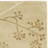 Soho Hand Tufted Wool Floral Rug-31778472