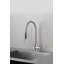 Kitchen Faucet / Pull-Out With Dual Spray / Linear-920580100