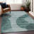 Premium Machine Washable Arnette Green Rug-877614577