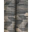 Birch Wallpaper-64266984