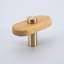 Modern Wooden Cabinet T-Bar With Brass Base