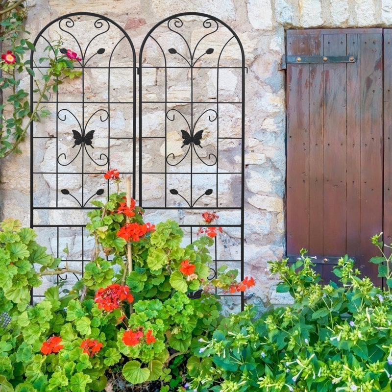 Ensemble de 2 plantes de treillis de jardin en métal antirouille 86,6 "x 19,7", support en fer noir pour les vignes