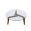 Table basse avec plateau en verre et structure en bois massif