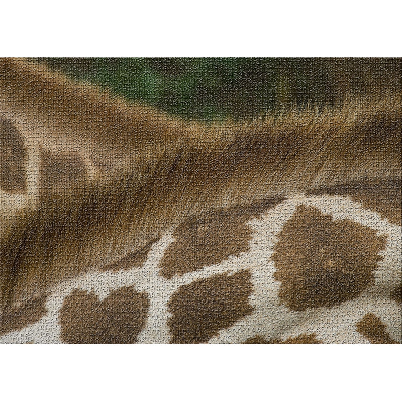 Tapis de zone brune 4 giraffe, Rectangle 3 pi x 5 pi