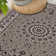 Aloisia Oriental Area Rug