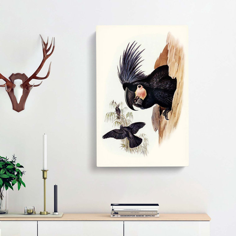 Great Palm-Cockatoos by Elizabeth Gould - Wrapped Canvas, 76cm H x 50cm W x 3cm D