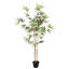 Plant-129932158-129932162