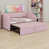 Rose est en rupture de stock
