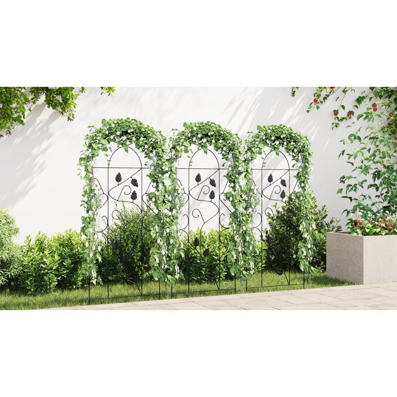 Aldora 100cm H x 40cm W Iron Arched Trellis