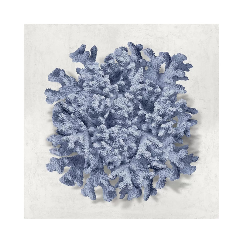 Coral Indigo II by Caroline Kelly - Wrapped Canvas Gallery-Wrapped Canvas Giclée, 45.72 cm H x 45.72 cm W