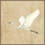 Aigrette se posant II-1580738492