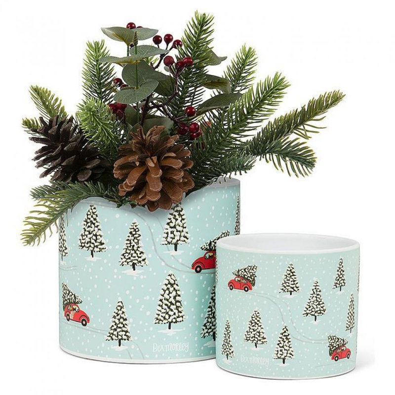 Aquasco Ceramic Cachepot, 4" H x 4.5" W x 4.5" D