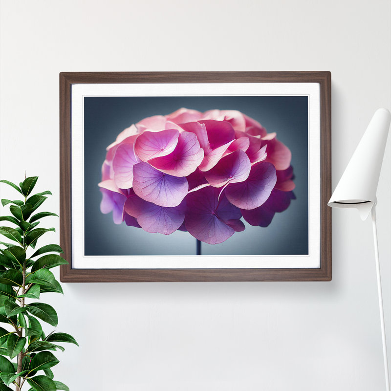 Pure Hydrangea Flowers - Single Picture Frame Print, 46cm H x 64cm W x 2cm D, Walnut