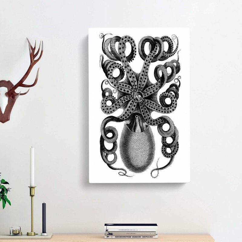 Rear Of An Octopus In Black And White by George Shaw - Wrapped Canvas, 50cm H x 35cm W x 3cm D